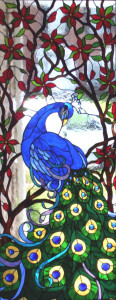 Stained Glass Peacock, by Chris Gonzalez